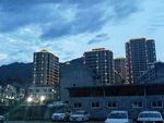 文成