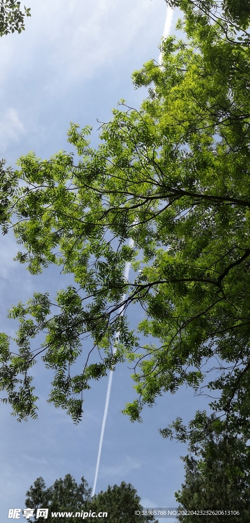 天空