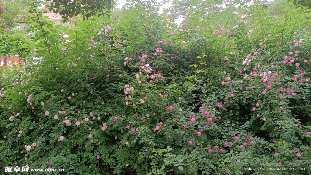 花墙