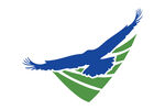 飞鹰logo