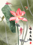 荷花图