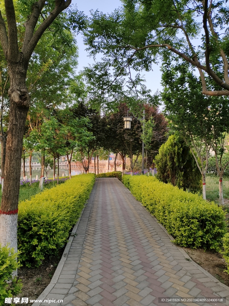 路