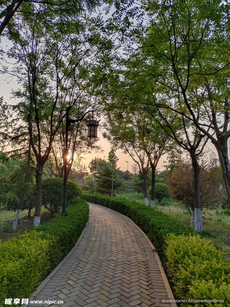 路