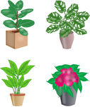 植物
