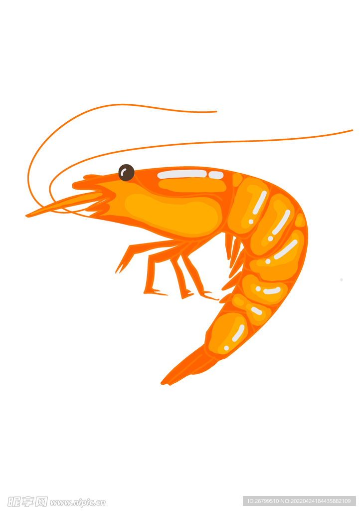 虾