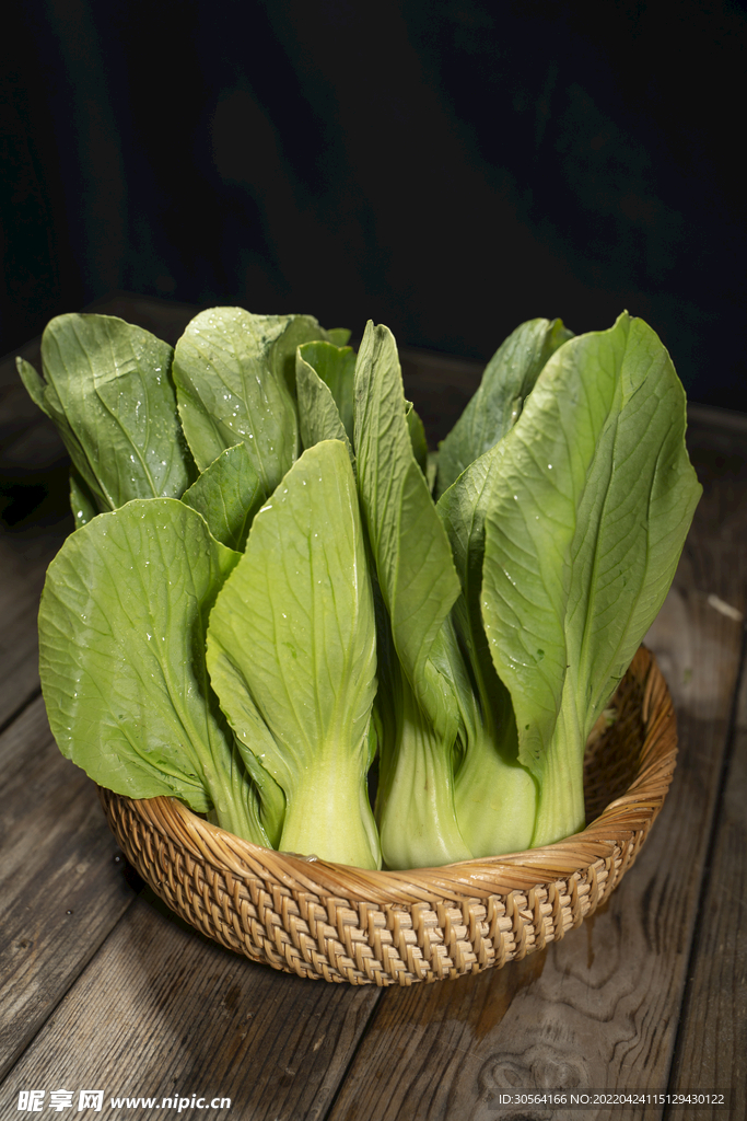 新鲜青菜蔬菜