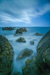 海