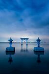 海