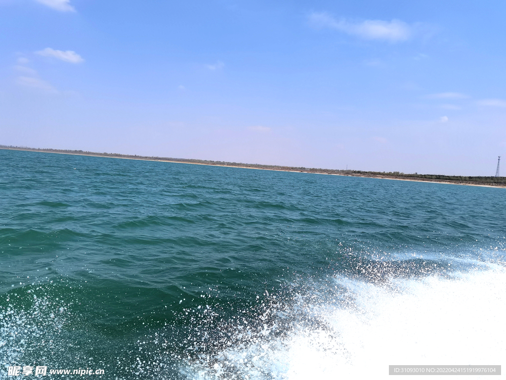 海