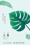 立夏海报