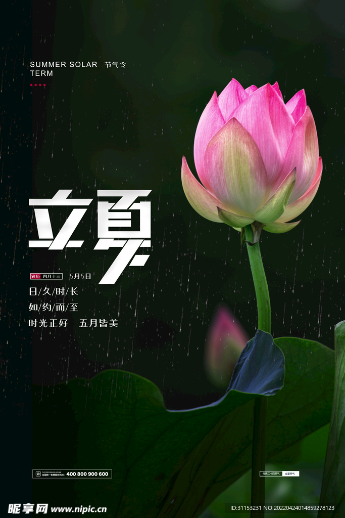 立夏海报