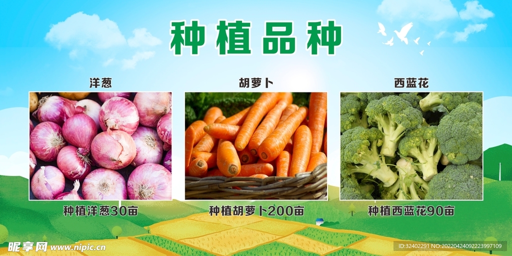 农业种植