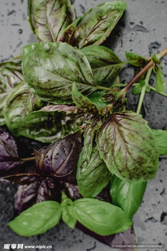 野菜