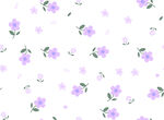 玫瑰花 