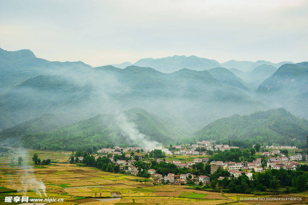 小麦