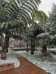 雪景1