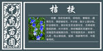 说明牌