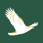 飞鹰logo