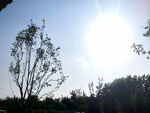 炎炎夏日