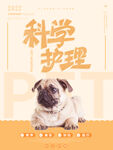 宠物医院科学护理