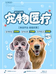 宠物医疗活动海报
