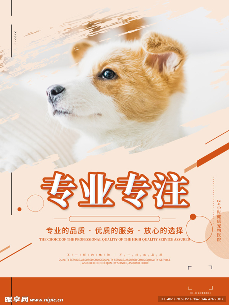 宠物海报