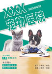 宠物医院活动海报