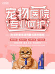 宠物医院专业呵护