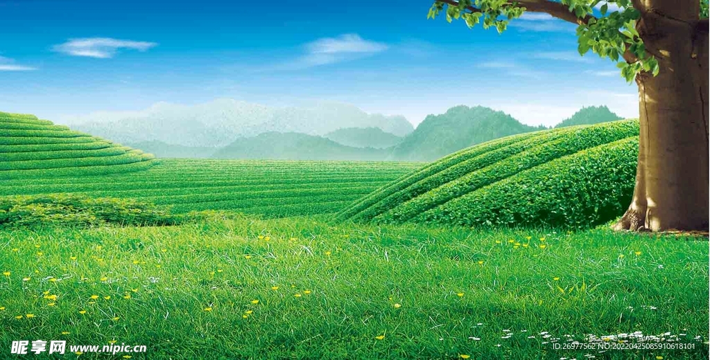 田野  