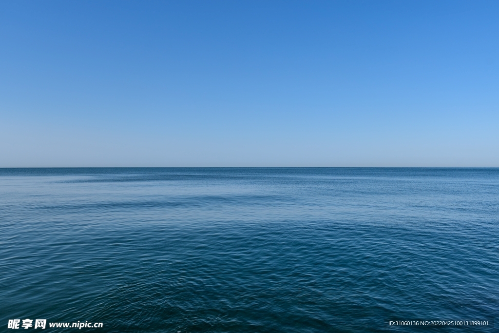海