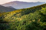 山
