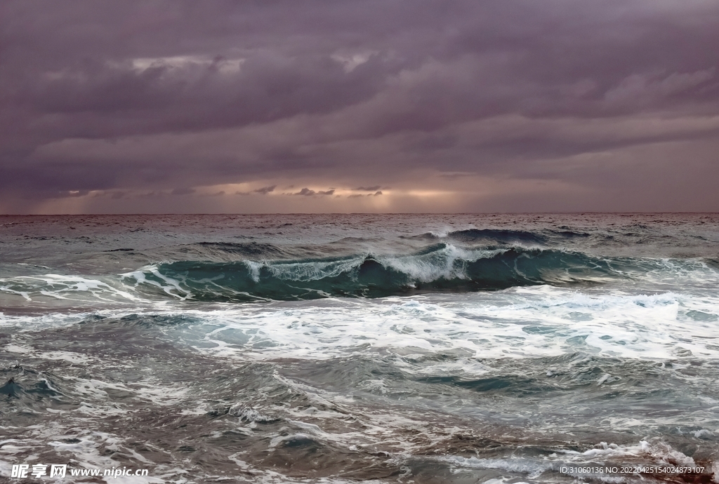 海