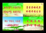 厨房标语