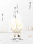 小满