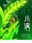 小满