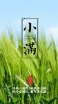 小满