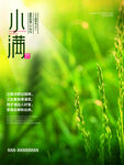 小满