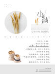 小满海报
