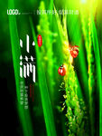 小满 
