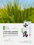 小满 