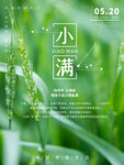 小满