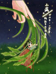 小满 