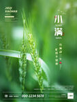 小满 