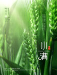 小满海报