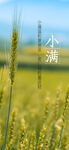 小满海报 
