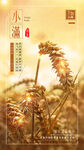 小满海报 