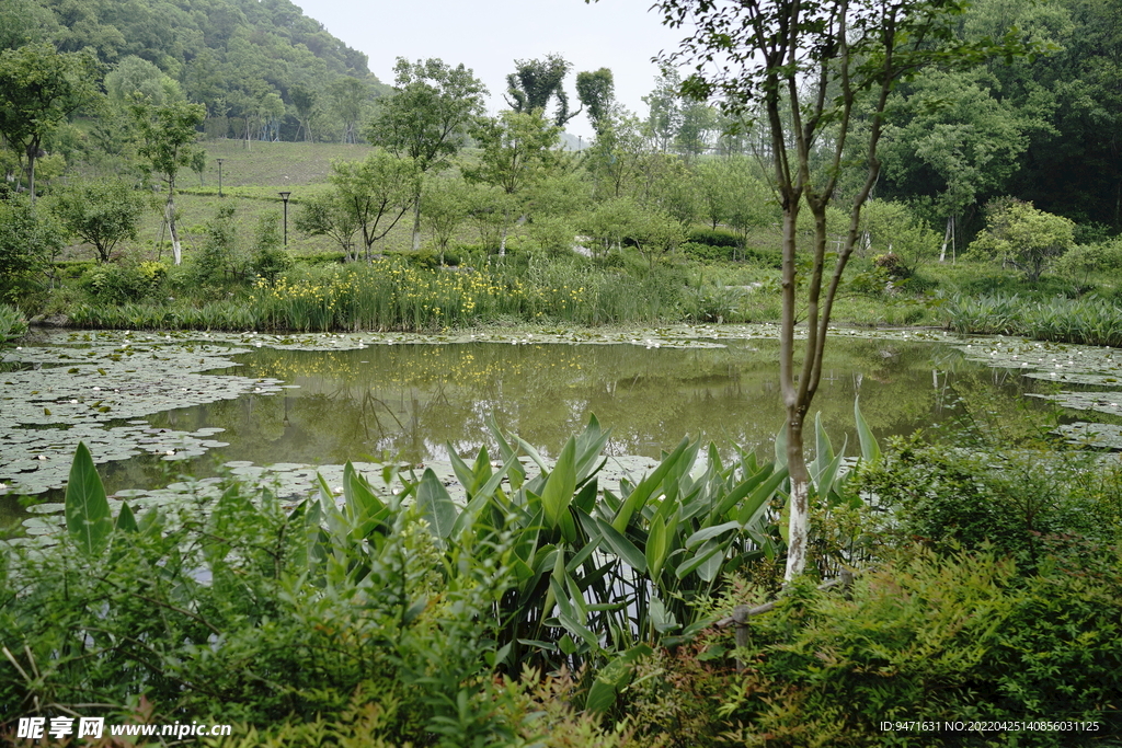 杭州铜鉴湖公园风景实拍