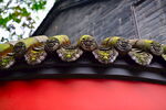红墙屋檐