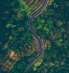 山
