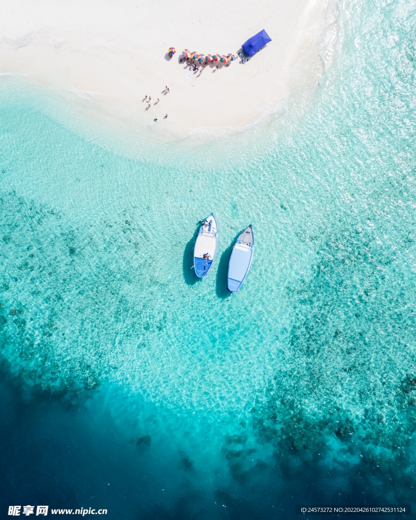 海 